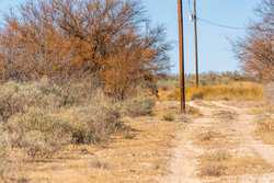 Paisano Road Del Rio TX 78840