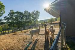 700 Barton Road West Windsor VT 05089