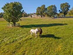 700 Barton Road West Windsor VT 05089