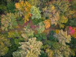 700 Barton Road West Windsor VT 05089