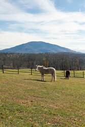 700 Barton Road West Windsor VT 05089