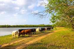 6888 Old Seguin Luling Road Seguin TX 78155