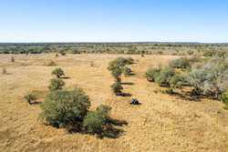 1956 County Road 441 Harwood TX 78632
