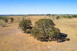 1956 County Road 441 Harwood TX 78632