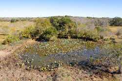 1956 County Road 441 Harwood TX 78632