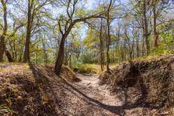 1956 County Road 441 Harwood TX 78632