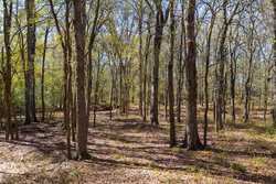 1956 County Road 441 Harwood TX 78632