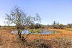 1956 County Road 441 Harwood TX 78632