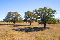 1956 County Road 441 Harwood TX 78632
