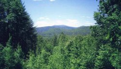 Harwood Place West Townshend VT 05359