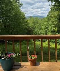 Harwood Place West Townshend VT 05359