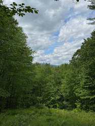 Harwood Place West Townshend VT 05359