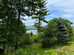 906 Shedd Hill Road Stoddard NH 03464