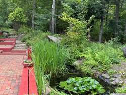 906 Shedd Hill Road Stoddard NH 03464