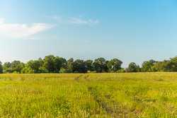 1173 Fm 1386 Luling TX 78648