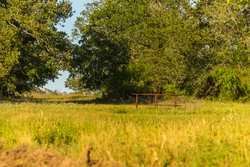 1173 Fm 1386 Luling TX 78648
