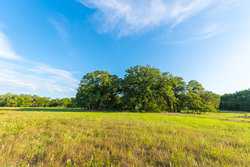 1173 Fm 1386 Luling TX 78648