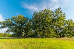1173 Fm 1386 Luling TX 78648