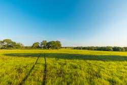 1173 Fm 1386 Luling TX 78648