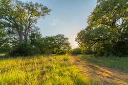 1173 Fm 1386 Luling TX 78648