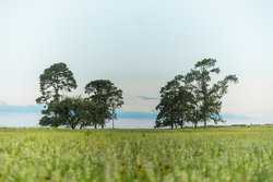 1173 Fm 1386 Luling TX 78648