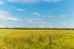 1173 Fm 1386 Luling TX 78648