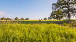 1173 Fm 1386 Luling TX 78648
