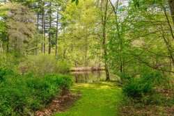 37 Cottage Circle Dedham MA 02026
