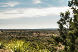 Kendalia TX