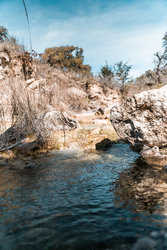 Kendalia TX