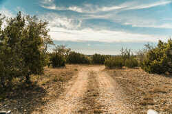 Kendalia TX