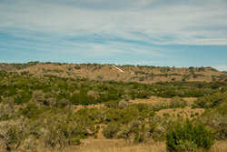 Kendalia TX
