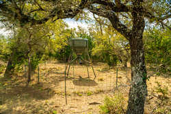 Kendalia TX