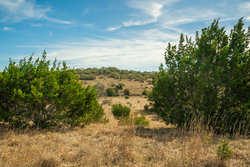 Kendalia TX