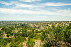 Kendalia TX
