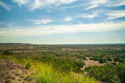 Kendalia TX