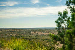 Kendalia TX