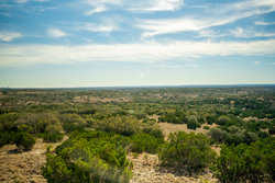 Kendalia TX