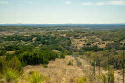 Kendalia TX