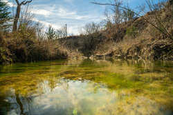 Kendalia TX