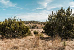 Kendalia TX
