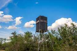 Divot TX