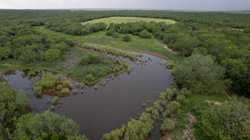 Divot TX