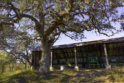 796 Domino Five Seguin TX 78155