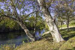 796 Domino Five Seguin TX 78155