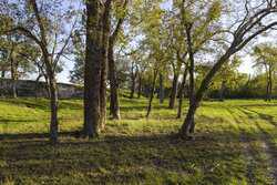 796 Domino Five Seguin TX 78155