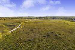 796 Domino Five Seguin TX 78155