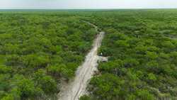 00 Old San Diego Road Tilden TX 78072