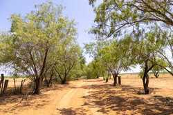 County Road 4843 Dilley TX 78017