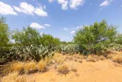 County Road 4843 Dilley TX 78017